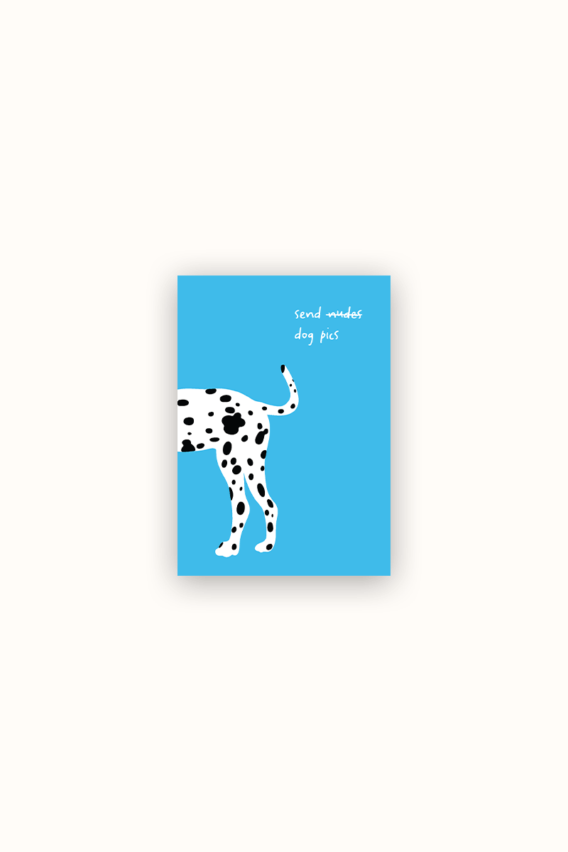 Postkarte send dog pics